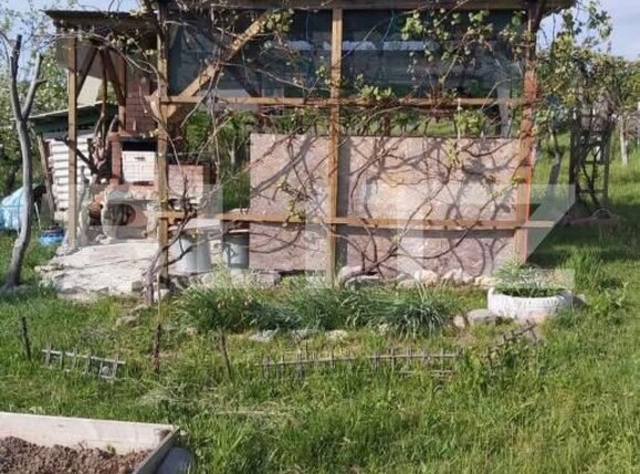 Teren de vânzare Sud-Vest - 187202TV | BLITZ Bistriţa | Poza3