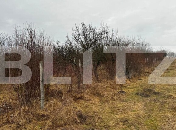 Teren de vânzare Sud-Vest - 187202TV | BLITZ Bistriţa | Poza8