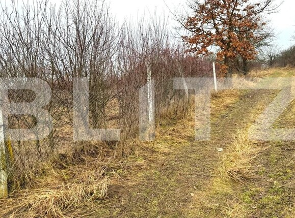 Teren de vânzare Sud-Vest - 187202TV | BLITZ Bistriţa | Poza5