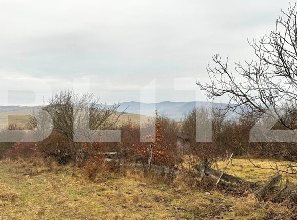 Teren de vânzare Sud-Vest - 187202TV | BLITZ Bistriţa | Poza13