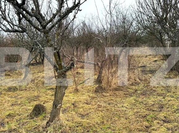 Teren de vânzare Sud-Vest - 187202TV | BLITZ Bistriţa | Poza11