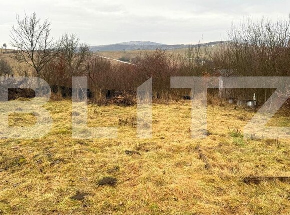 Teren de vânzare Sud-Vest - 187202TV | BLITZ Bistriţa | Poza10