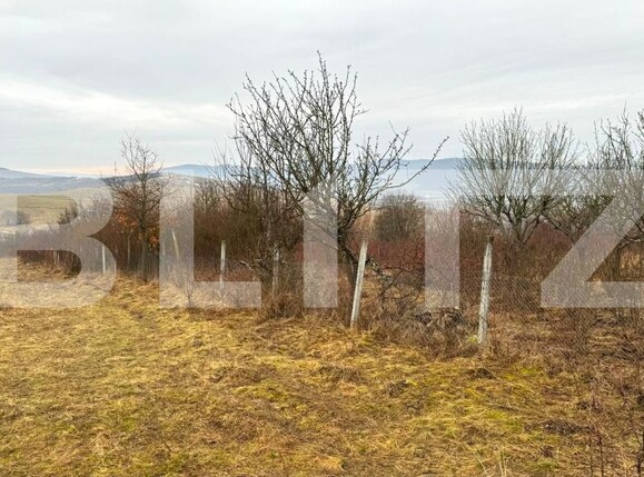 Teren de vânzare Sud-Vest - 187202TV | BLITZ Bistriţa | Poza6