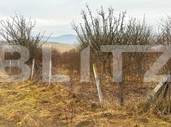 Teren de vânzare Sud-Vest - 187202TV | BLITZ Bistriţa | Poza7