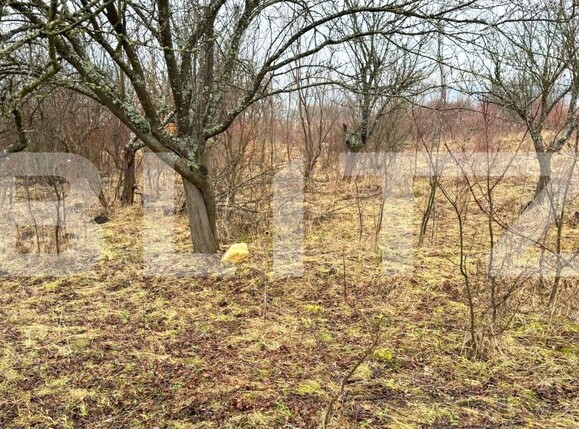 Teren de vânzare Sud-Vest - 187202TV | BLITZ Bistriţa | Poza12