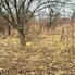 Teren de vânzare Sud-Vest - 187202TV - Poza 1 din 13 | BLITZ Bistriţa | Poza11