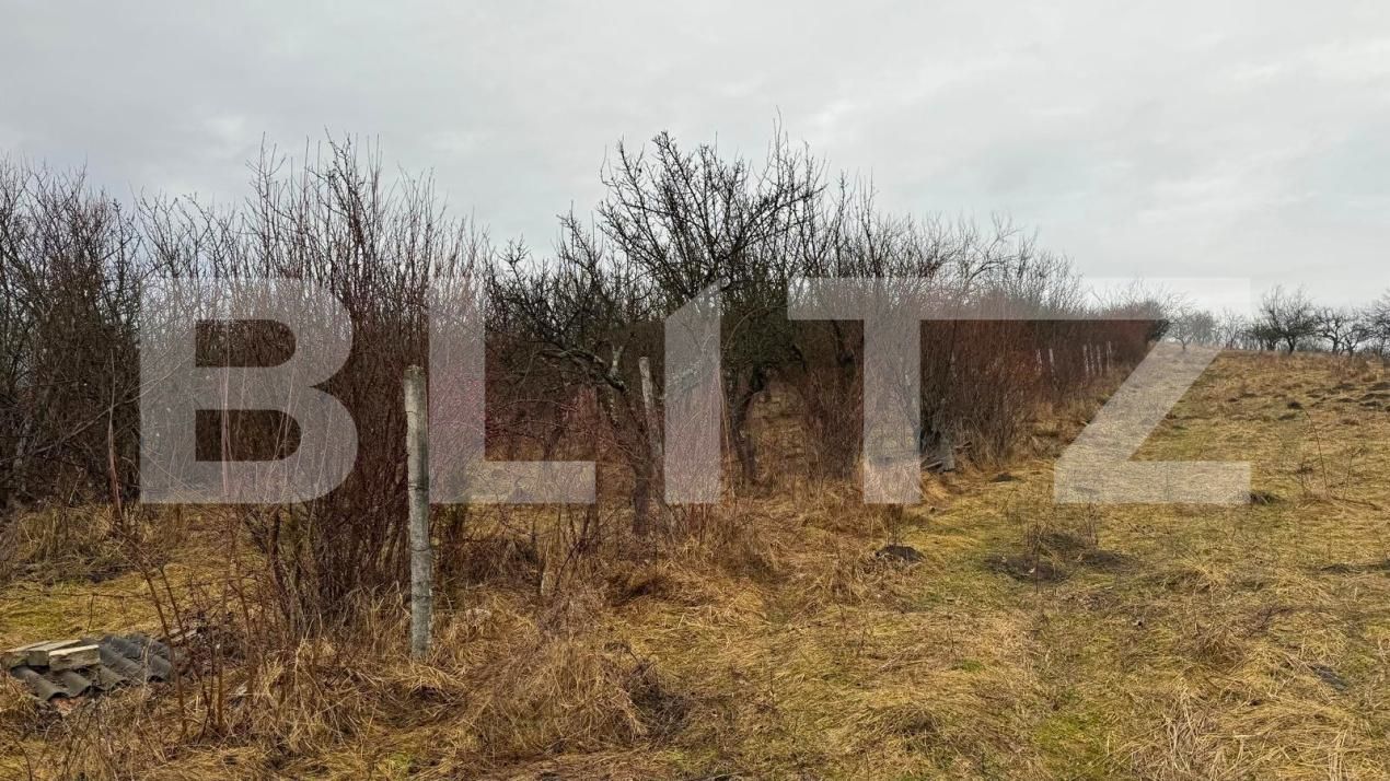 Teren de vânzare Sud-Vest - 187202TV | BLITZ Bistriţa | Poza8