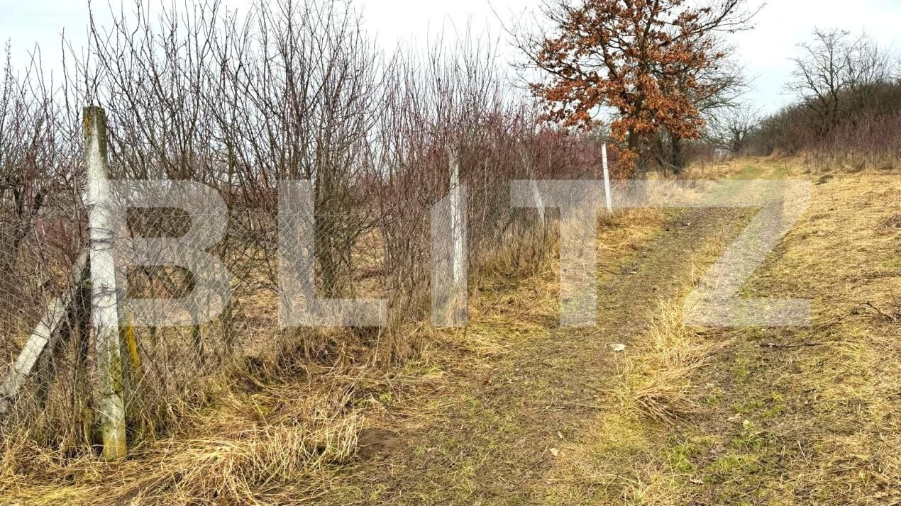 Teren de vânzare Sud-Vest - 187202TV | BLITZ Bistriţa | Poza5