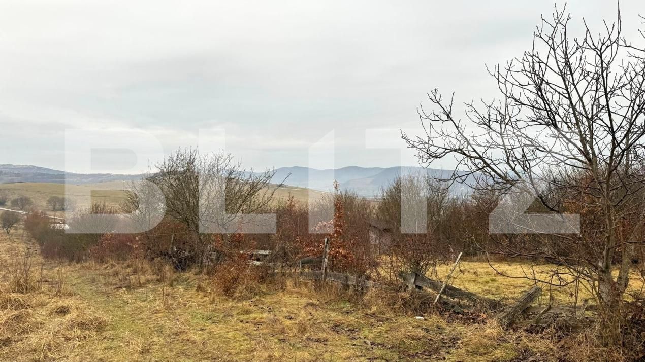 Teren de vânzare Sud-Vest - 187202TV | BLITZ Bistriţa | Poza13