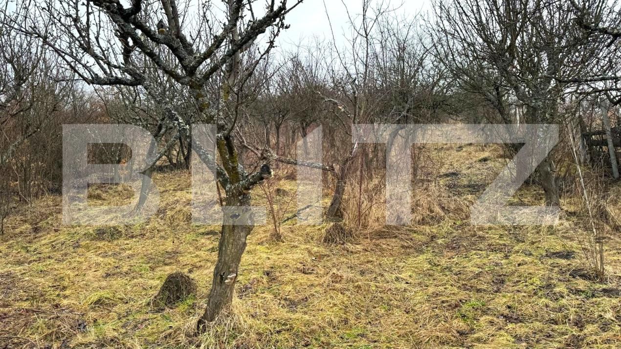 Teren de vânzare Sud-Vest - 187202TV | BLITZ Bistriţa | Poza11