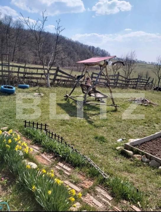 Teren de vânzare Sud-Vest - 187202TV | BLITZ Bistriţa | Poza2