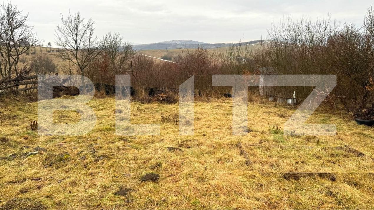 Teren de vânzare Sud-Vest - 187202TV | BLITZ Bistriţa | Poza10