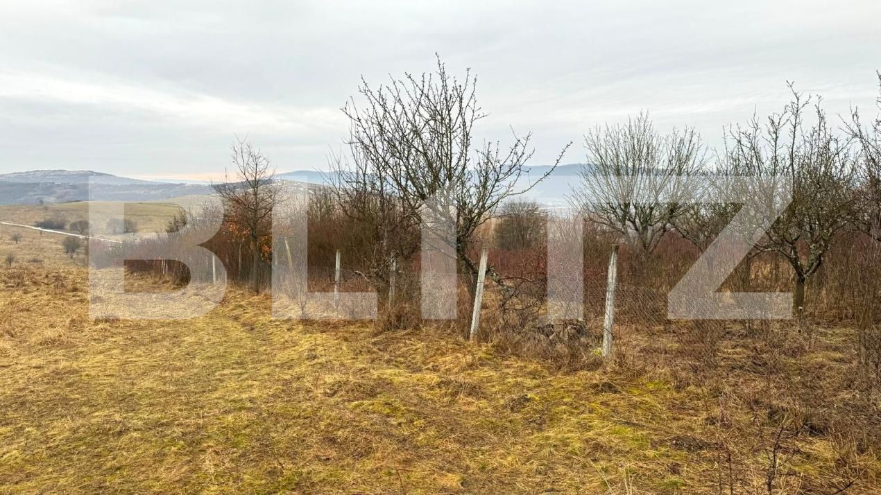 Teren de vânzare Sud-Vest - 187202TV | BLITZ Bistriţa | Poza6