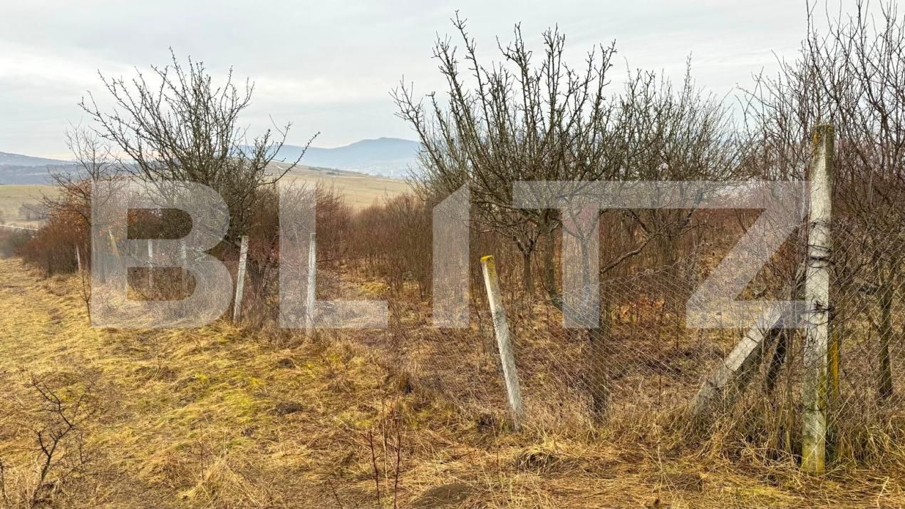 Teren de vânzare Sud-Vest - 187202TV | BLITZ Bistriţa | Poza7