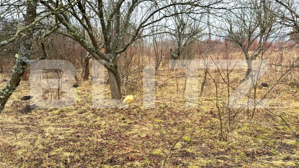 Teren de vânzare Sud-Vest - 187202TV | BLITZ Bistriţa | Poza12