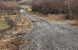 Teren extravilan, 10 arii, Dealul Targului