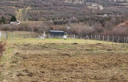 Teren extravilan, 10 arii, Dealul Targului