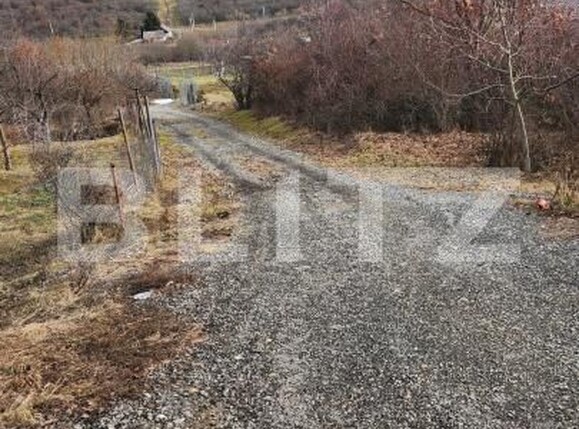 Teren de vânzare Exterior Est - 187415TV | BLITZ Bistriţa | Poza2