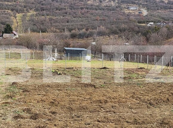 Teren de vânzare Exterior Est - 187415TV | BLITZ Bistriţa | Poza1