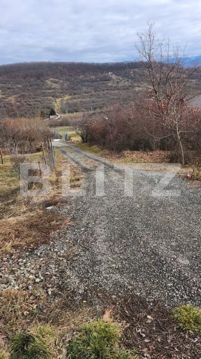 Teren de vânzare Exterior Est - 187415TV | BLITZ Bistriţa | Poza2