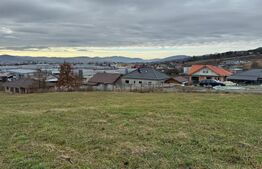 Teren intravilan de vanzare, 4.600 mp, zona Tărpiului din Bistrița