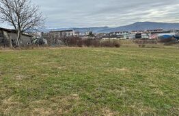 Teren intravilan de vanzare, 4.600 mp, zona Tărpiului din Bistrița