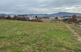 Teren intravilan de vanzare, 4.600 mp, zona Tărpiului din Bistrița