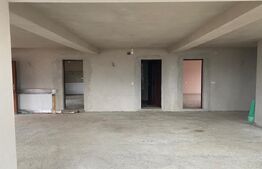 Casa P+E la rosu, teren de 71 ari, Salva