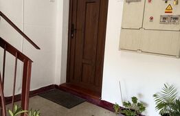 Apartament mobilat/utilat, 46 m2 - Lechinta 