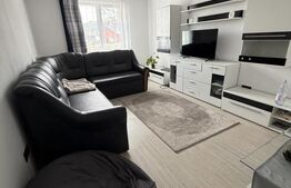 Apartament mobilat/utilat, 46 m2 - Lechinta 