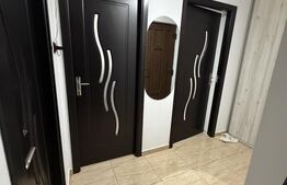 Apartament mobilat/utilat, 46 m2 - Lechinta 