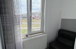 Apartament mobilat/utilat, 46 m2 - Lechinta 