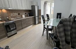 Apartament mobilat/utilat, 46 m2 - Lechinta 