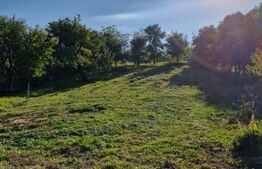 Casă de vânzare – Budacu de Jos | 6 km de centrul Bistriței | Teren 24 arii