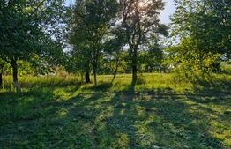 Casă de vânzare – Budacu de Jos | 6 km de centrul Bistriței | Teren 24 arii