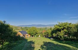 Casă de vânzare – Budacu de Jos | 6 km de centrul Bistriței | Teren 24 arii