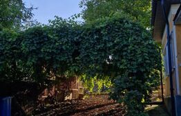 Casă de vânzare – Budacu de Jos | 6 km de centrul Bistriței | Teren 24 arii