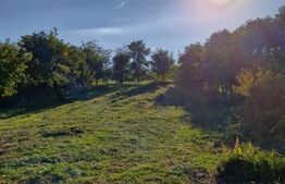 Casă de vânzare – Budacu de Jos | 6 km de centrul Bistriței | Teren 24 arii