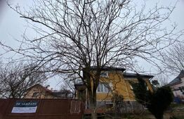 Casă de vânzare – Budacu de Jos | 6 km de centrul Bistriței | Teren 24 arii