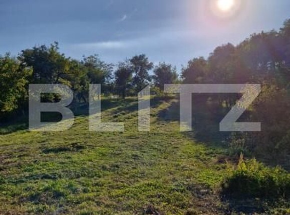 Casa de vânzare 4 camere Exterior Est - 187601CV | BLITZ Bistriţa | Poza8