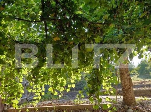 Casa de vânzare 4 camere Exterior Est - 187601CV | BLITZ Bistriţa | Poza11