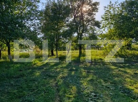 Casa de vânzare 4 camere Exterior Est - 187601CV | BLITZ Bistriţa | Poza9