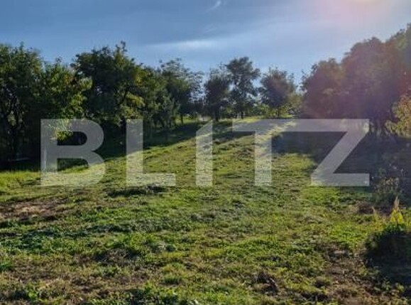Casa de vânzare 4 camere Exterior Est - 187601CV | BLITZ Bistriţa | Poza3