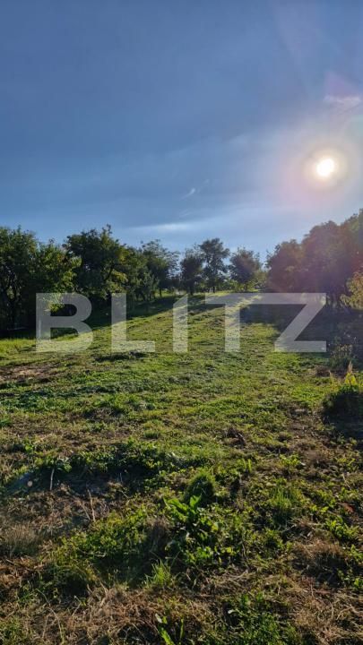 Casa de vânzare 4 camere Exterior Est - 187601CV | BLITZ Bistriţa | Poza3