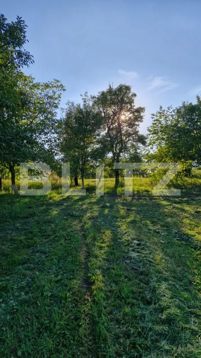 Casa de vânzare 4 camere Exterior Est - 187601CV | BLITZ Bistriţa | Poza5