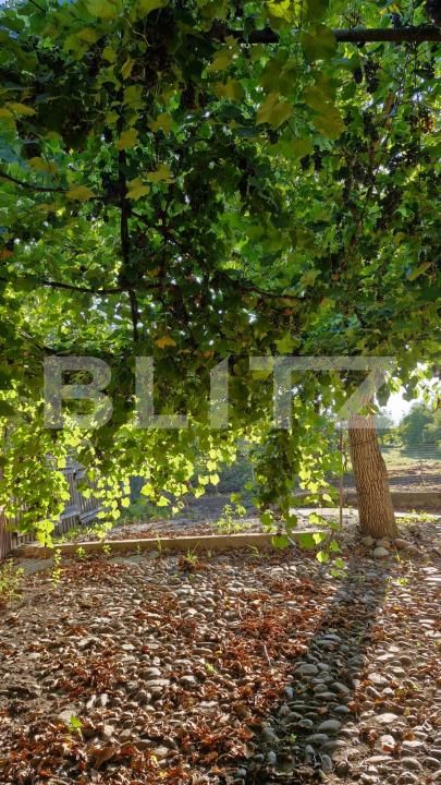 Casa de vânzare 4 camere Exterior Est - 187601CV | BLITZ Bistriţa | Poza11