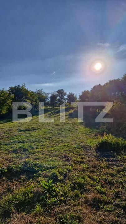 Casa de vânzare 4 camere Exterior Est - 187601CV | BLITZ Bistriţa | Poza4