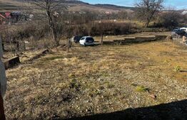 Clădire multifuncțională, 513 mp, 1.000 mp teren - zona Sigmir