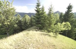 Teren intravilan de top – Colibița | 16.945 mp | Panoramă munți si lac