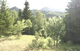 Teren intravilan de top – Colibița | 16.945 mp | Panoramă munți si lac